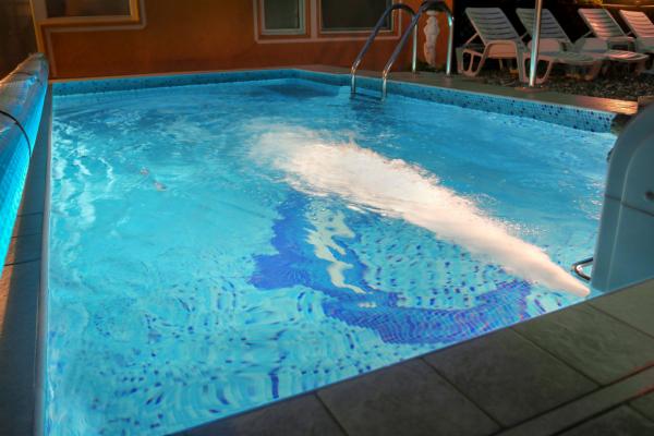 Hydro-massage pool
