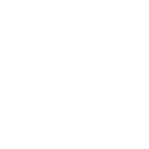 mobile phone icon